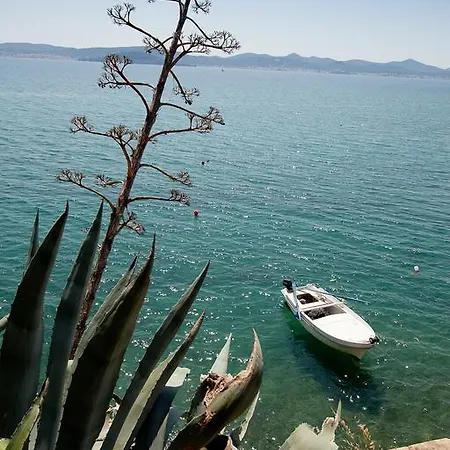 Nikoleto * Zadar
