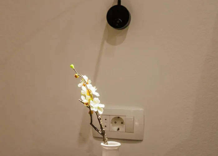 Nikoleto 아파트 자다르