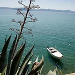 Nikoleto * Zadar